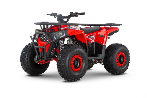 trail 125